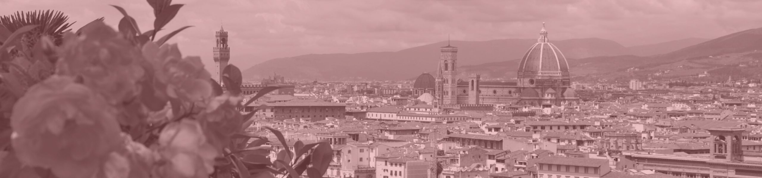 Clases de italiano por niveles