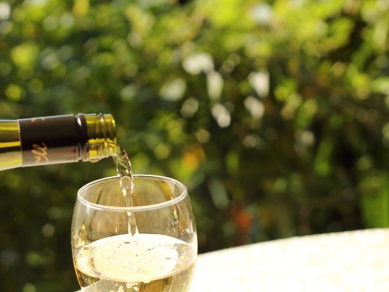 Sagra del vino en Menfi. Sicilia
