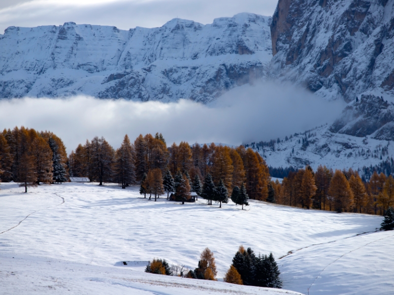 Alpe di Siusi, Dolomitas
